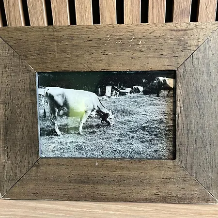 Apartamento Allgäu Hüs 4 Mit Self-checkin